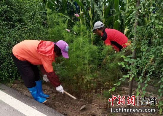 �����ж������������ࡱ