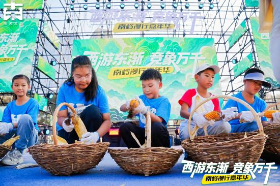 南岭漫行嘉年华扒苞米大赛吸引众多小朋友参与。 南岭漫行嘉年华扒苞米大赛吸引众多小朋友参与。