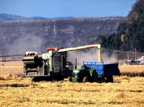 和龙市委宣传部/供图 和龙市委宣传部/供图