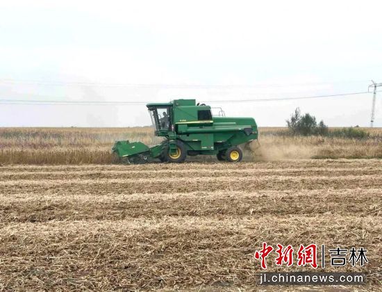 马俊超/供图 马俊超/供图