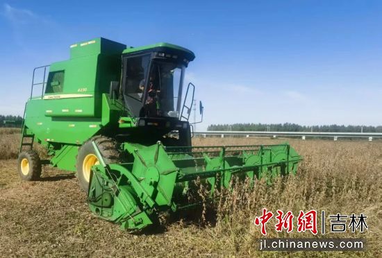 马俊超/供图 马俊超/供图