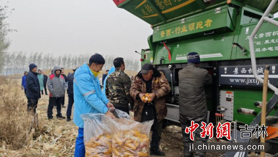 中国石油员工帮助农户收玉米。商义明/供图 中国石油员工帮助农户收玉米。商义明/供图