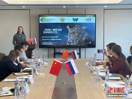 俄罗斯专家分享保护东北豹经验。 郭佳 摄 俄罗斯专家分享保护东北豹经验。 郭佳 摄