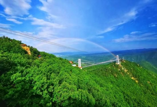 龙井市委宣传部/供图 龙井市委宣传部/供图