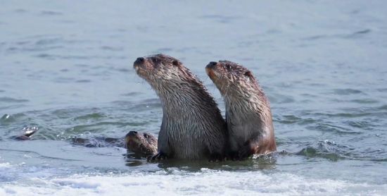 龙井市委宣传部/供图 龙井市委宣传部/供图