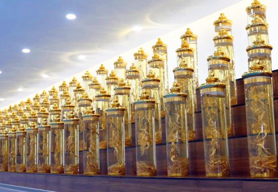 安图县委宣传部/供图 安图县委宣传部/供图