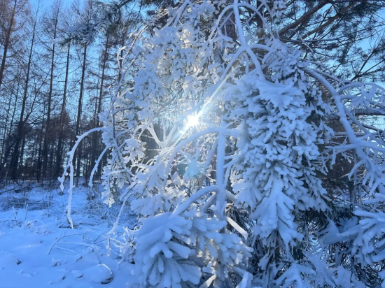 �ػ���ί������/��ͼ