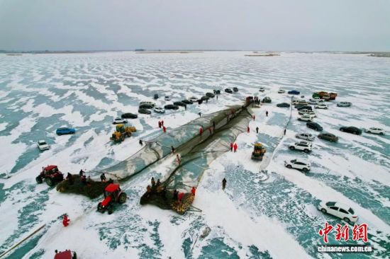 1月6日,吉林镇赉,哈尔淖水库冬捕现场。王岩 摄 1月6日,吉林镇赉,哈尔淖水库冬捕现场。王岩 摄