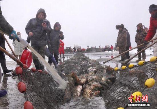 1月6日,吉林镇赉,哈尔淖水库冬捕收获颇丰。王凯 摄 1月6日,吉林镇赉,哈尔淖水库冬捕收获颇丰。王凯 摄