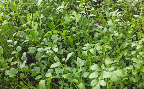 ��ͼ��ί������/��ͼ