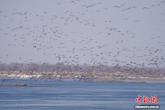 ������������Ժӡ������� ��