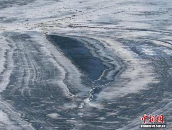 3��16�գ��������㣬�����������ڣ�����ͣЪ��ʳ���������� ��