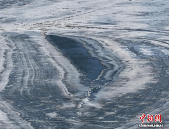 3月16日,吉林镇赉,冰面正在消融,候鸟停歇觅食。 潘晟昱 摄 3月16日,吉林镇赉,冰面正在消融,候鸟停歇觅食。 潘晟昱 摄