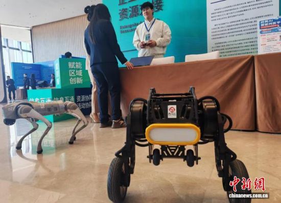 一家科技企业展示的机器人产品。李彦国 摄 一家科技企业展示的机器人产品。李彦国 摄