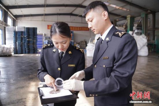 ����ɽ���ع�Ա��չ�������Ѳ��顣�������ع�ͼ