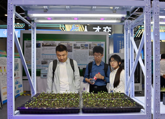 观众在展位前观察植物生长情况。张瑶 摄 观众在展位前观察植物生长情况。张瑶 摄