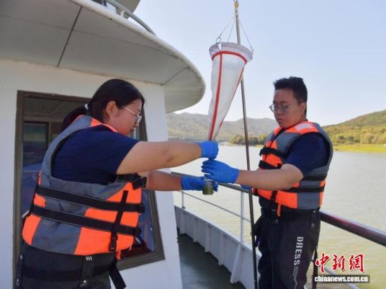 工作人员在监测船上采集浮游生物。刘栋 摄 工作人员在监测船上采集浮游生物。刘栋 摄