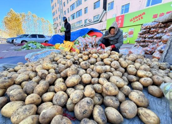 金由美/供图 金由美/供图