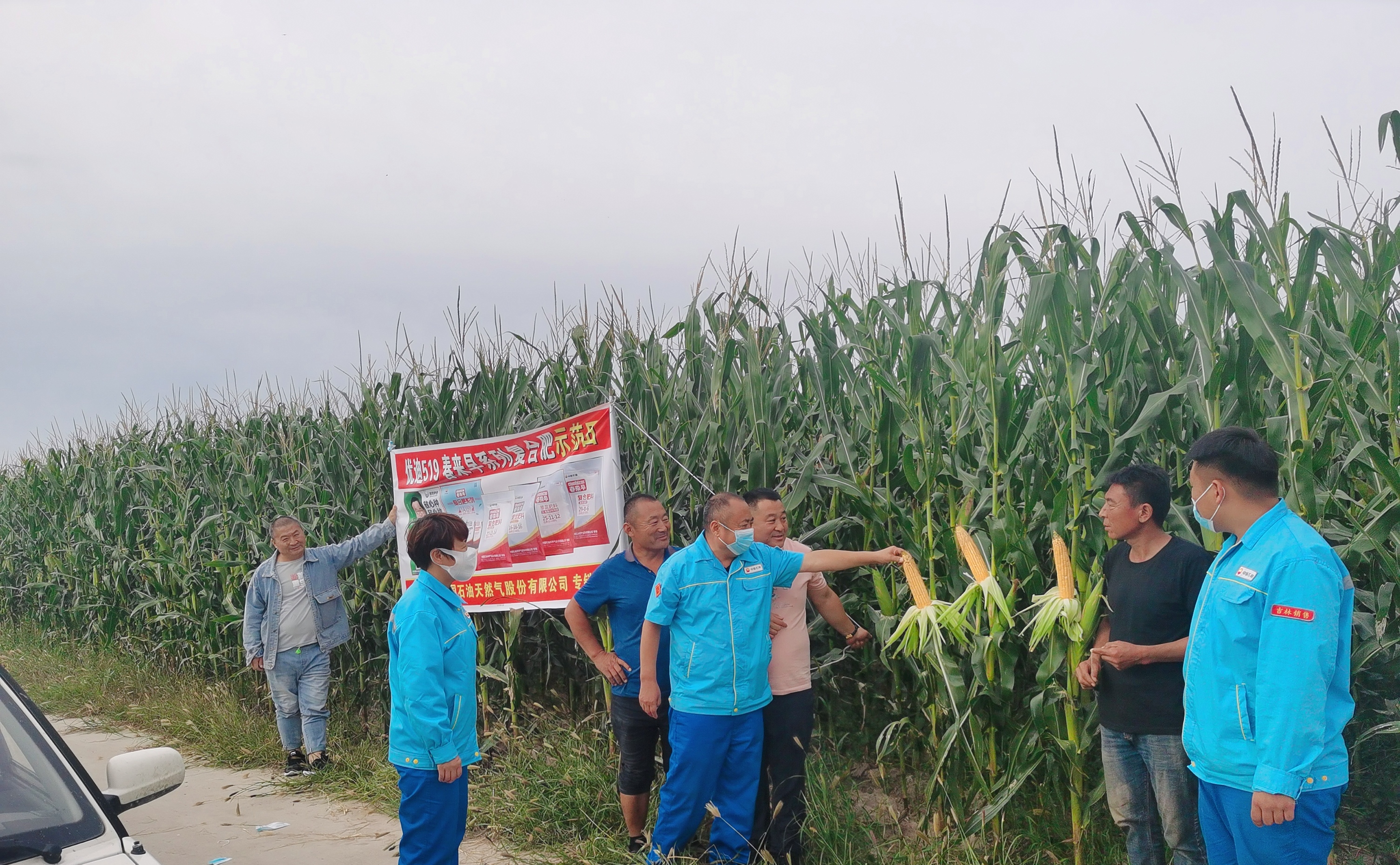 �й�ʯ�ͼ������۹�˾��ֲ�ĸ��Ϸ�ʾ����