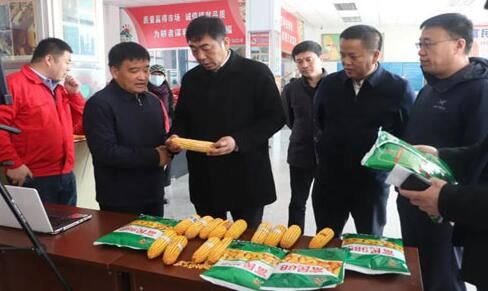 四平市副市长曹武来到梨树县调研