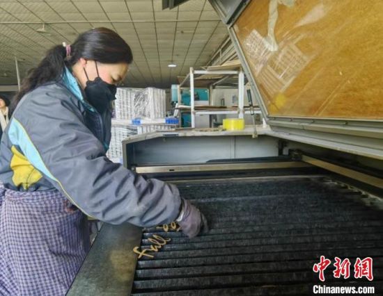 吉林女企業家帶領村民創業：讓黑土地“美學”行銷海內外