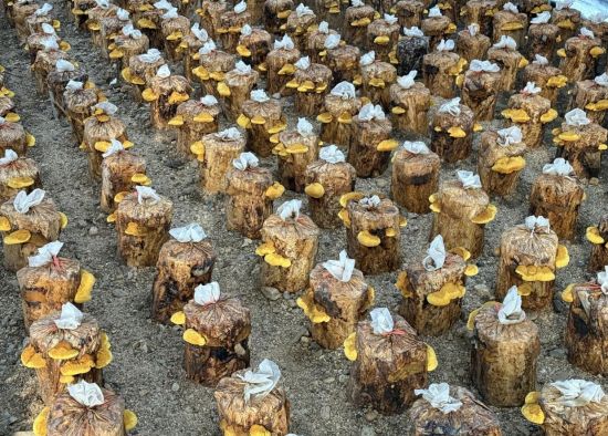 ��ͼ��ί������/��ͼ