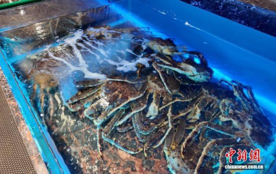 ��������ĵ���з���ӱ���ί������ ��ͼ