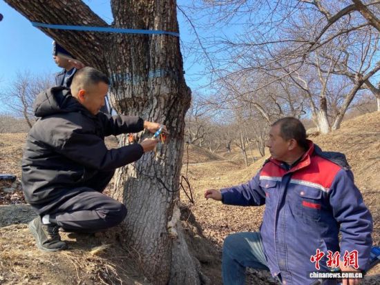 ������Ա���ڶԹ���������������족������ ��