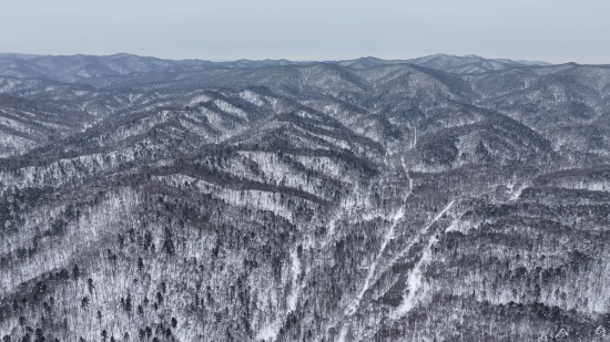 ����Ƥ����ĵ���롣 �������ý�����Ĺ�ͼ