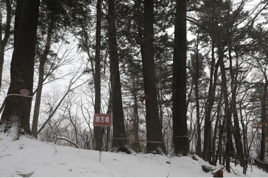 �ķ��������ڵء� �������ý�����Ĺ�ͼ