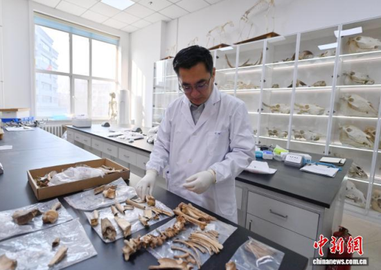 3��20�գ����ֳ������̴�ΰ������������������ ��