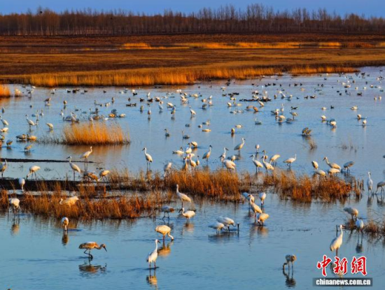 4��11�գ��������㣬�׺׵���ϡ������ĪĪ��ʪ����ʳ���������� ��