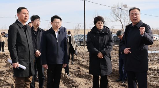 长春市委常委市委统战部部长孙弘到九台区踏查重大项目开复工情况